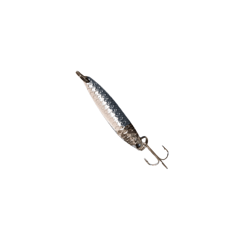 CUCHARILLA DE PEZ ALARGADA — imagen 1