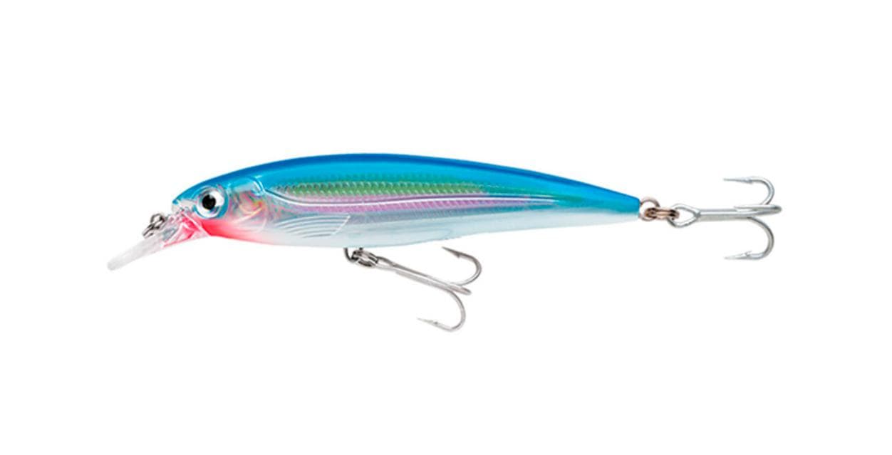 Señuelo para Pesca RAPALA X-Rap Salt 10 SB — imagen 1