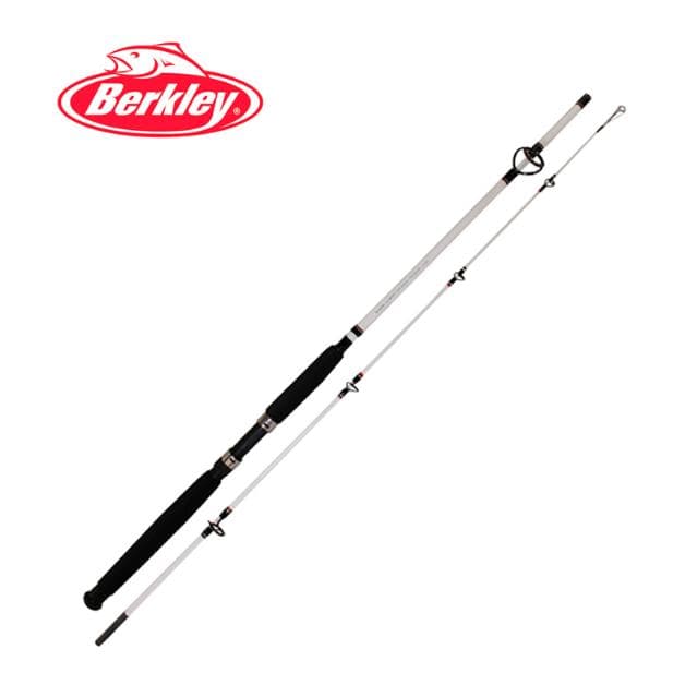 Caña Spinning BERKLEY Big Game BGS802MH — imagen 1