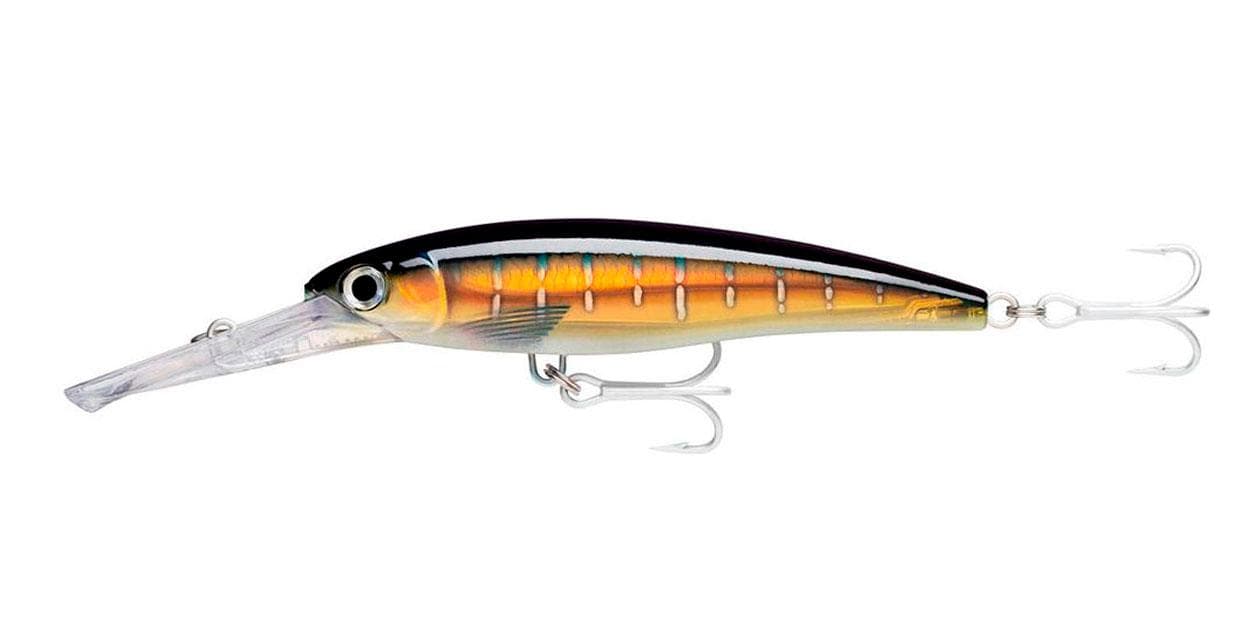 Señuelo para Pesca RAPALA X-Rap Magnum 40 HDSFU — imagen 1