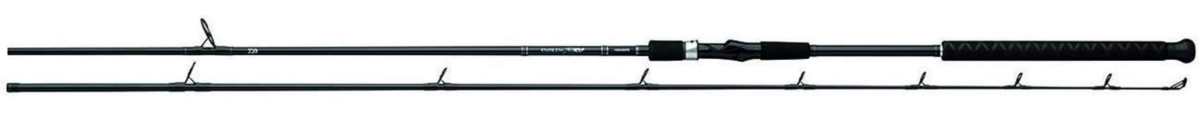 CAÑA SPINNING DAIWA Emblem Pro Surf EMBLM902MFS — imagen 1