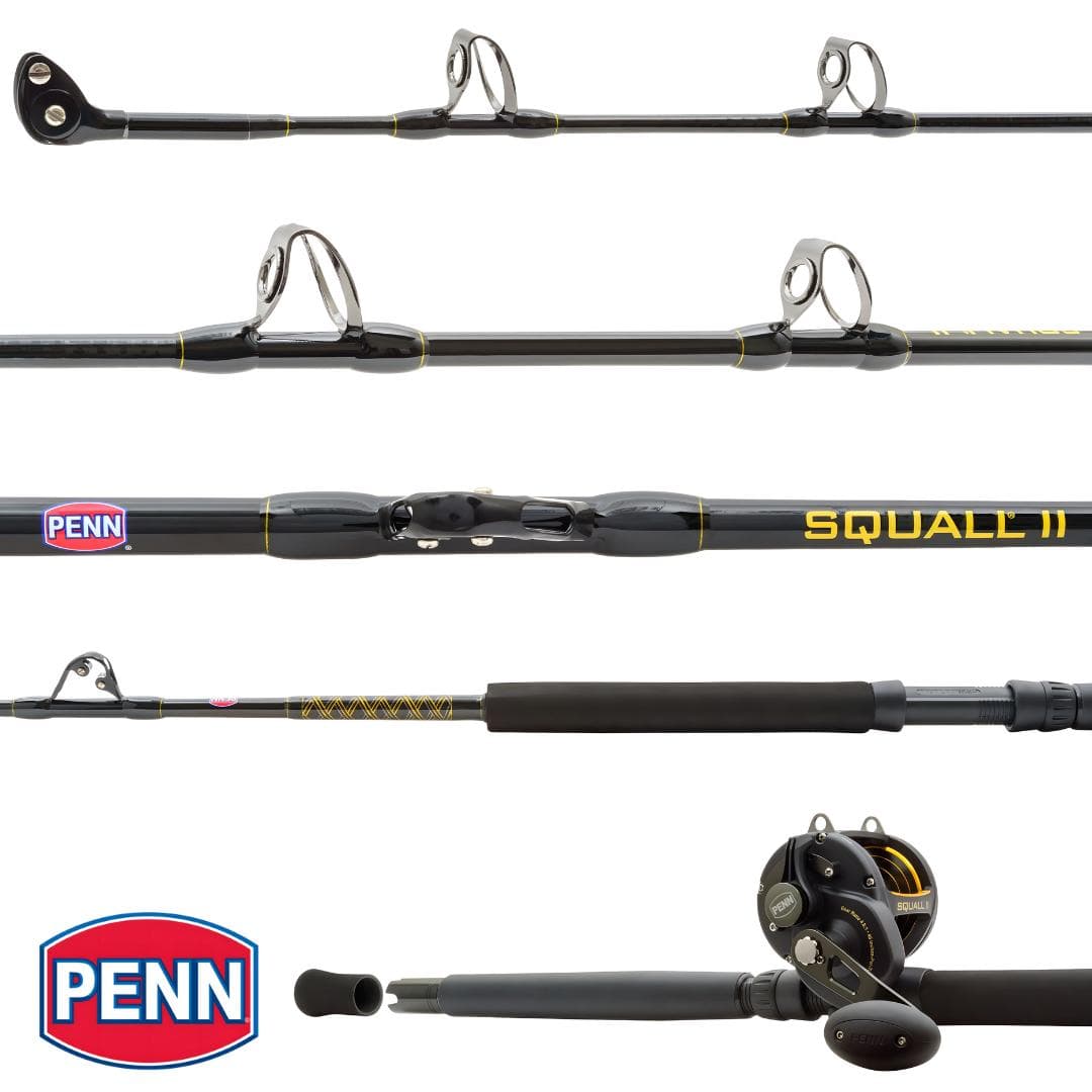 Combo Trolling PENN Squall SQLII50LD3050C66 — imagen 1