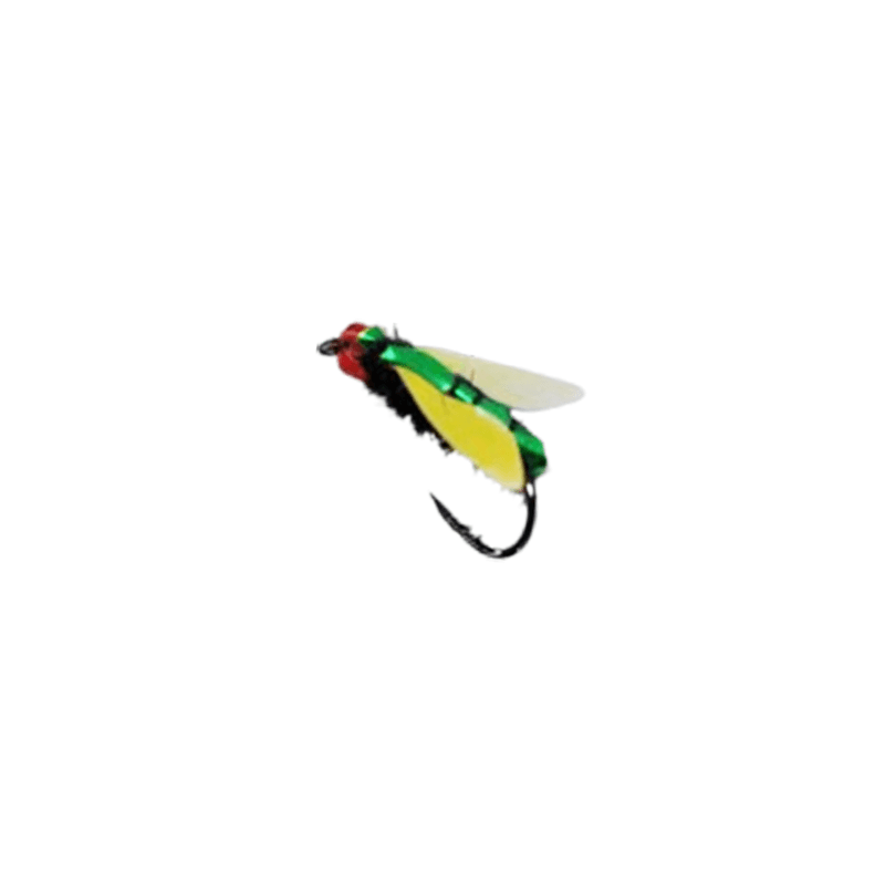 MOSCA BIONICA — imagen 1